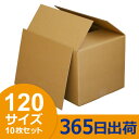 ダンボール(段ボール) 120サイズ 底板付き 10枚セット ダンボール 段ボール ダンボール箱 段...