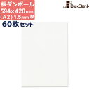 ダンボール 板 工作 用 白 色 a2 (594×420mm) 1.5mm 厚 60枚 セット 段ボール 板ダンボール 板段ボール ダンボール板 ダンボール シ...