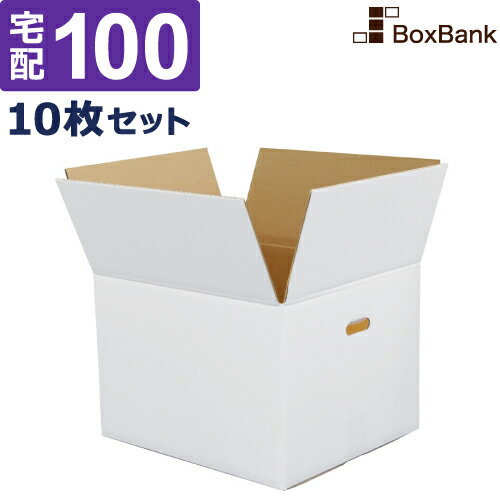 ダンボール 段ボール 白 宅配 100サイズ 取っ手穴付 (内寸36×33×26cm) 10枚 セット 白ダンボール 白色 白段ボール 引越し 引っ越し ダンボール箱 段ボール箱 アパレル 収納 保管 みかん箱 宅配 100 a4