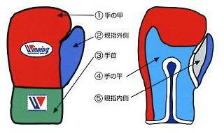 Winning lace up GLOVES in custom colors for INDIVIDUAL customers onlyウイニングカラーオーダーひも式ボクシンググローブ300日前後で発送させていただきます