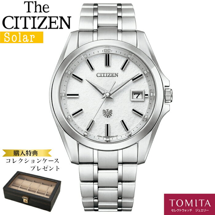 【国内正規品】 【10年保証】 CITIZEN シチズン The・CITIZEN ザ・シチズン AQ4091-56A ソーラー スーパーチタニウム 耐磁1種 耐ニッケルアレルギー 10気圧防水 【コレクションケース付】