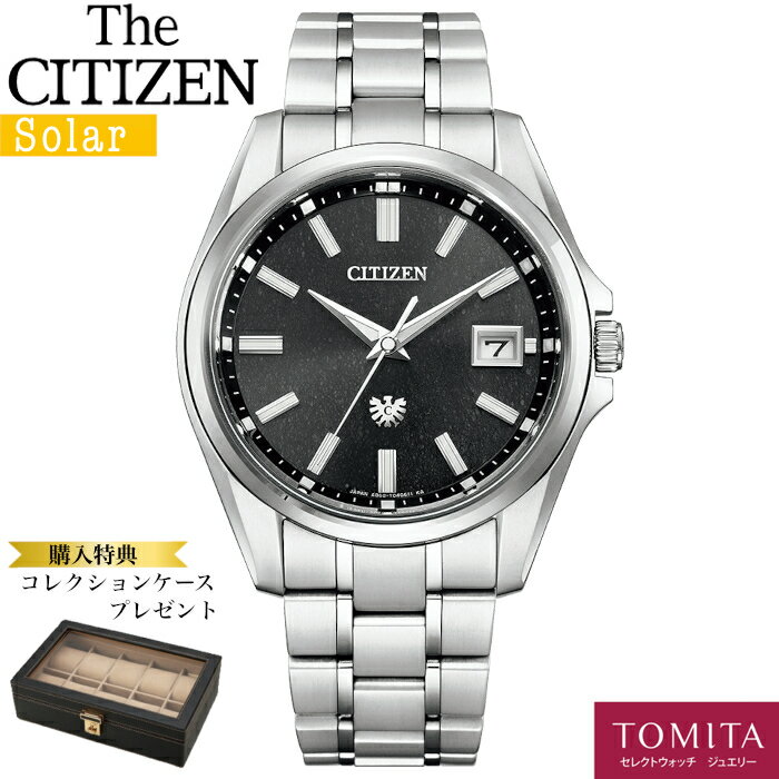 【国内正規品】 【10年保証】 CITIZEN シチズン The・CITIZEN ザ・シチズン AQ4091-56E ソーラー スーパーチタニウム 耐磁1種 耐ニッケルアレルギー 10気圧防水 【コレクションケース付】