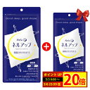 【50％OFF/1袋購入でもう1袋プレゼン