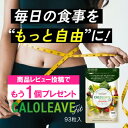 ダイエット サプリ カロリーブ フィット 93粒 栄養機能食品 糖質 脂質 酵素 サプリメント カット 食品 体脂肪 血糖値 内臓脂肪 ぽっこり お腹 下腹 お腹周り 吸着 吸収 減らす 下げる Lカルニチン 炭 サラシア サイリウム ハスク