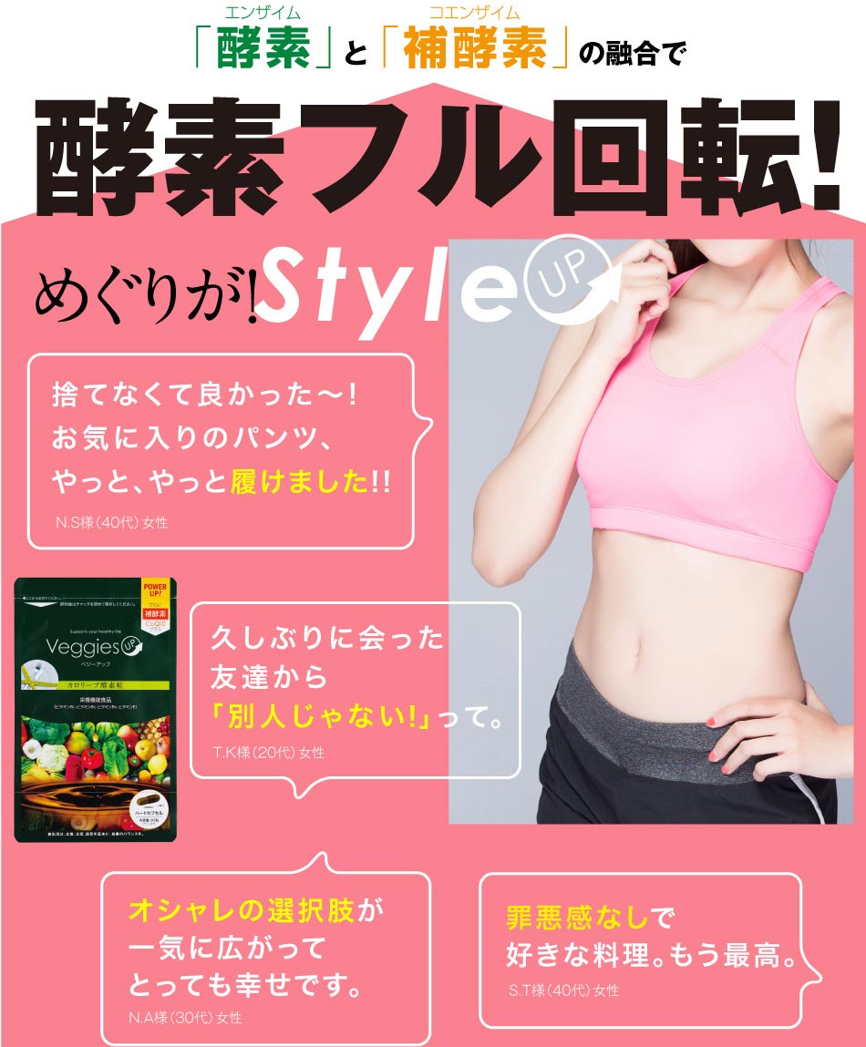 ベジーアップ酵素粒カロリーブ93粒ダイエットサプリメントダイエットサプリ酵素サプリ野菜酵素やさい酵素コエンザイムフォルスコリ竹炭サラシア黒ウコン健康野菜ベジーデル