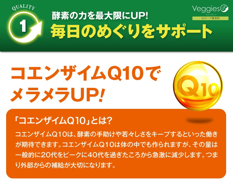 ベジーアップ酵素粒カロリーブ93粒ダイエットサプリメントダイエットサプリ酵素サプリ野菜酵素やさい酵素コエンザイムフォルスコリ竹炭サラシア黒ウコン健康野菜ベジーデル