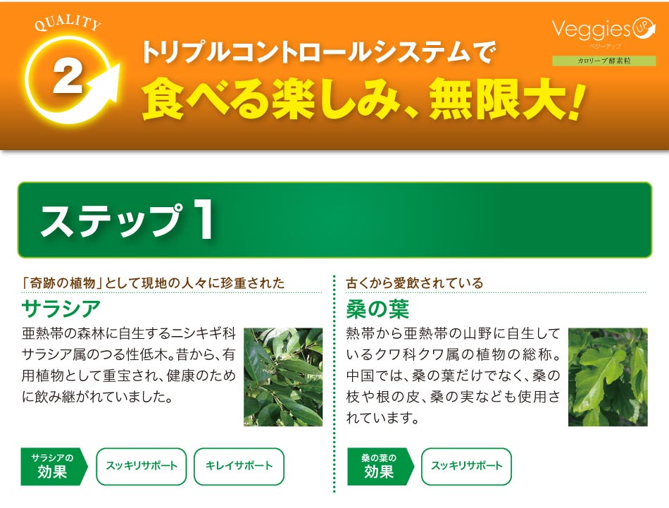 ベジーアップ酵素粒カロリーブ93粒ダイエットサプリメントダイエットサプリ酵素サプリ野菜酵素やさい酵素コエンザイムフォルスコリ竹炭サラシア黒ウコン健康野菜ベジーデル