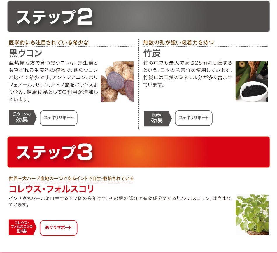 ベジーアップ酵素粒カロリーブ93粒ダイエットサプリメントダイエットサプリ酵素サプリ野菜酵素やさい酵素コエンザイムフォルスコリ竹炭サラシア黒ウコン健康野菜ベジーデル