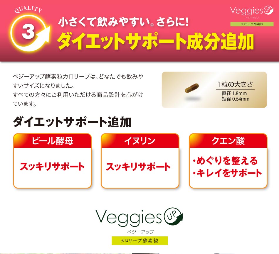 ベジーアップ酵素粒カロリーブ93粒ダイエットサプリメントダイエットサプリ酵素サプリ野菜酵素やさい酵素コエンザイムフォルスコリ竹炭サラシア黒ウコン健康野菜ベジーデル