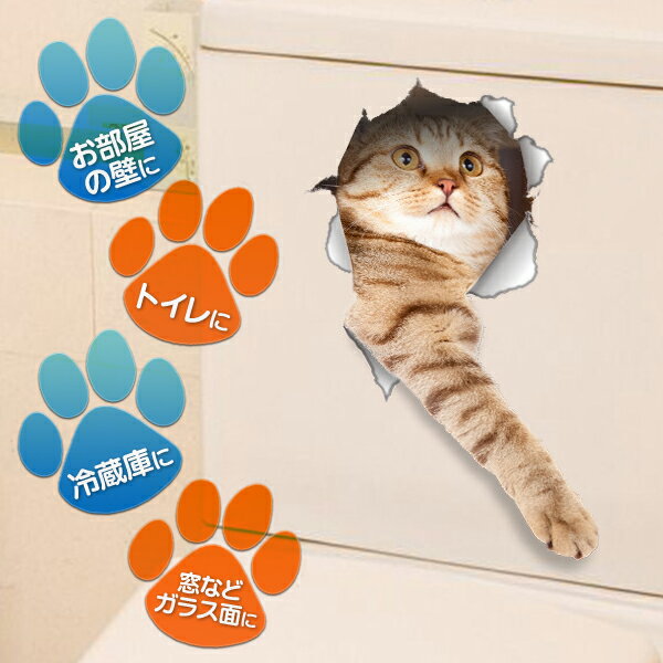 猫 ステッカー 5枚組 とびだすネコ 5枚入り...の紹介画像3