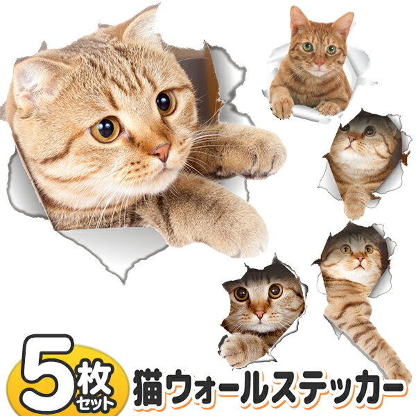 猫 ステッカー 5枚組 とびだすネコ 5枚入り ...の商品画像