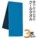 送料無料 !( メール便 )【3枚セット】 クールタオル ひんやりタオル 水でぬらしてしぼるだけ 冷感タオル cool タオル ネックタオル つめたいタオル 首 冷却 スポーツ アウトドア 作業 観戦 暑さ対策 猛暑対策 クールタオルHOU 節電 景品 送料込 ◎ ◇ HOUタオル3枚の商品画像