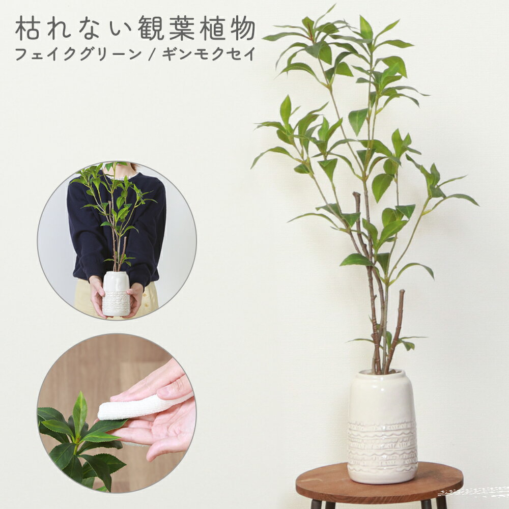 フェイクグリーン ギンモクセイ 観葉植物 フェイク グリーン 人工観葉植物 おしゃれ 葉っぱ リビング インテリア ナチュラル 玄関 カフェ 贈り物 装飾 送料無料 送料込 新着！ 80S◇ ギンモクセイ