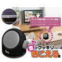 送料無料 ! 手元スピーカー 有線 5m 音がクッキリきこえる君 テレビの音 聞こえる 収音器 集音器 貼るだけ 耳元スピーカー 電池式 テレビスピーカー 音量...