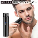 送料無料 !( 規格内 ) USB充電式 電動