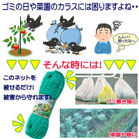 鳥よけネットグリーン4m×12m長さカット可能防鳥ネットカラス対策からすよけゴミネット家庭菜園ネット農業用品資材まとめ買い◇防鳥ネット
