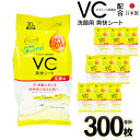 【10袋セット】汗拭きシート フェイス用 顔用 VC ビタミン配合 日本製 デオドラントシート シトラスの香り ひんやり -4度 涼しい メントールin coo...