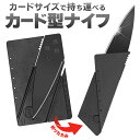 送料無料 ( 定形郵便 ) アウトドアナイフ 軽量 カード型 折りたたみナイフ 収納時 安全ロック付 ステンレスナイフ キャンプ ソロキャンプ シャープナー 台風 地震 災害 防災用品 釣り マルチツール 調理器具 DIY まとめ買い 送料込 ◇ カードナイフDL