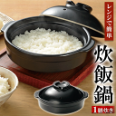 陶器製 レンジ鍋 17cm ひとり鍋 電子レンジ鍋 ご飯炊ける ふっくらごはん レンジでお鍋 楽炊御膳 土鍋型 おしゃれ マルチ鍋 ダイエット鍋 レンジ用炊飯器 保温 あったか おいしい 敬老の日 送料無料 送料込 60N◇ 楽炊鍋