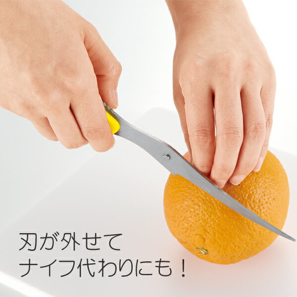 本日24時間限定 すぐに使える 絶対お得な5 Offクーポン配布中 是非この機会にお買い物をお楽しみください 送料無料 メール便 キッチンはさみ 分解 うろこ取り ナイフ にもなる スリム カーブ キッチンばさみ ボトルオープナー 送料込 万能ハサミ 鋏 切れ味抜群 ピザ 本日24時間限定 すぐに使える 絶対お得な5 Offクーポン配布中 是非この機会にお買い物をお楽しみください 送料無料 メール便 キッチンはさみ 分解 うろこ取り ナイフ にもなる スリム カーブ キッチンばさみ ボトルオープナー 送料込 万能ハサミ 鋏 切れ味抜群 ピザ