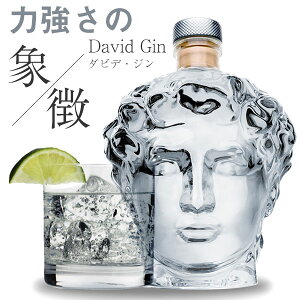 スピリッツ ジン ダビデ デビッドジン ダビデジン David Gin クラフトジン クラフトリカー イタリア製 40度 700ml ボタニカル(ライム、ヴァニラ、エルダーフラワー等) 爽やかな口当たり ギフト デビッド ジン ギフトに最適 美しいボトル