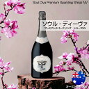 【金賞受賞!】スパークリング 赤 スパークリングワイン ソウル・ディーヴァ プレミアムスパークリング シラーズNV Soul Diva Premium Sparkling Shiraz NV 13.5% オーストラリアワイン 発泡 オーストラリア産 直輸入 ギフト お祝い プレゼント(4)