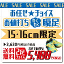 【送料無料】SYUNSOKU シュンソク キッズ 男の子 瞬足スニーカー アキレス【JC-3300】お任せ★チョイス お値打ち わくわく瞬足 15cm16cm限...