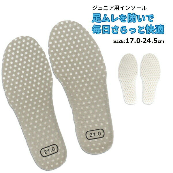 ڤ椦ѥåоݡ Ŭ ̵ 󥽡 å ˥  INSOLE åץ󥽡 ߤ Ҷ  ڤ å 餫...