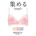 【40 OFF】ブラデリスニューヨーク ウェンディステップ1ブラ22S1 BRADELIS NEWYORK 【ウェンディタイプ】育乳ブラ 補整 補正 ブラ ブラジャー 谷間 脇肉 贅肉 脇高 寄せ上げ 産後 卒乳 レース 3/4カップ 下着 昼 小さいサイズ 20代 30代 40代