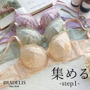 【30 OFF】育乳 ブラデリスニューヨーク ブラデリス ウェンディステップ1ブラ23S2 BRADELIS NEWYORK 【ウェンディタイプ】育乳 育乳ブラ いくにゅうぶら 補整 補正 ブラ ブラジャー 谷間 脇肉 贅肉 脇高 バストアップブラ 寄せ上げ 産後 卒乳 レース 3/4カップ 下着 小胸