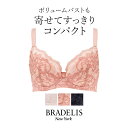 ブラデリスニューヨーク ブラデリスクイックサポートブラ23S1(グラマー胸) BRADELIS NEWYORK  育乳ブラ 補整 補正 ブラ ブラジャー 脇肉 贅肉 脇高 大きいサイズ スリム 楽 ボリュームバスト すっきり見せる