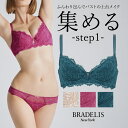 育乳 ブラデリスニューヨーク ブラデリス ウェンディステップ1ブラ23A1 BRADELIS NEWYORK 【ウェンディタイプ】育乳 …