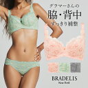 ブラデリスニューヨーク ブラデリス サポートバックラインブラ24S1 (グラマー胸) BRADELIS NEWYORK BRNY 【グラマータイプ】育乳ブラ ..