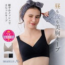 ブラデリスオールインワンライトブラ 育乳 夜用 おやすみブラ ナイトブラ 育乳 下着 デイナイトブラ ブラジャー ノンワイヤー 寄せ上げ..