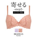 【30%OFF】【オンラインストア限定】ブラデリス ローズステップ2ブラ22S2 BRADELIS New York 【ローズタイプ】育乳 いくにゅう 補正 ブ..