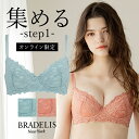 ブラデリス ウェンディステップ1ブラ23S4 BRADELIS NEWYORK 育乳 いくにゅう 補正 ブラ ブラジャー 谷間 脇肉 バストアップ　寄せ上げ 産後 卒乳 下着 小胸 1215sl