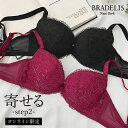 《最大1,600円OFFクーポン配信中》ブラデリス ナオミステップ2ブラ23S3 BRADELIS New York 育乳 いくにゅう補整 補正 ブラ ブラジャー 谷間 脇肉 バストアップ 寄せ上げ 産後 卒乳 レース 下着 1215sl