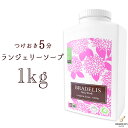 《最大1,600円OFFクーポン配信中》ブラデリス ランジェリーソープ1kg (約200～400回) 下着用洗剤 おしゃれ着洗い　おしゃれ着洗剤　洗濯洗剤　おしゃれ ギフト 定番