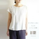 シフォン 刺繍 レース 切替 プルオーバー ブラウス WEAVER ウィーバー 16984L レディース ファッション 服 大人の ナチュラル ゆったり 大人コーデ きれいめ シンプル カジュアル フリル ホワイト ベージュ 30代 40代 50代 大きい 大人