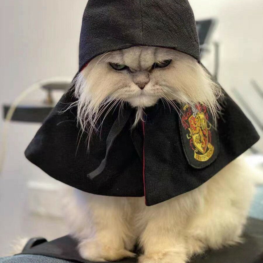 コスプレ ペット服 猫 3点セット 小型犬 ローブ 犬 コスチューム ネクタイ 猫服 ハロウィン マント ペ..