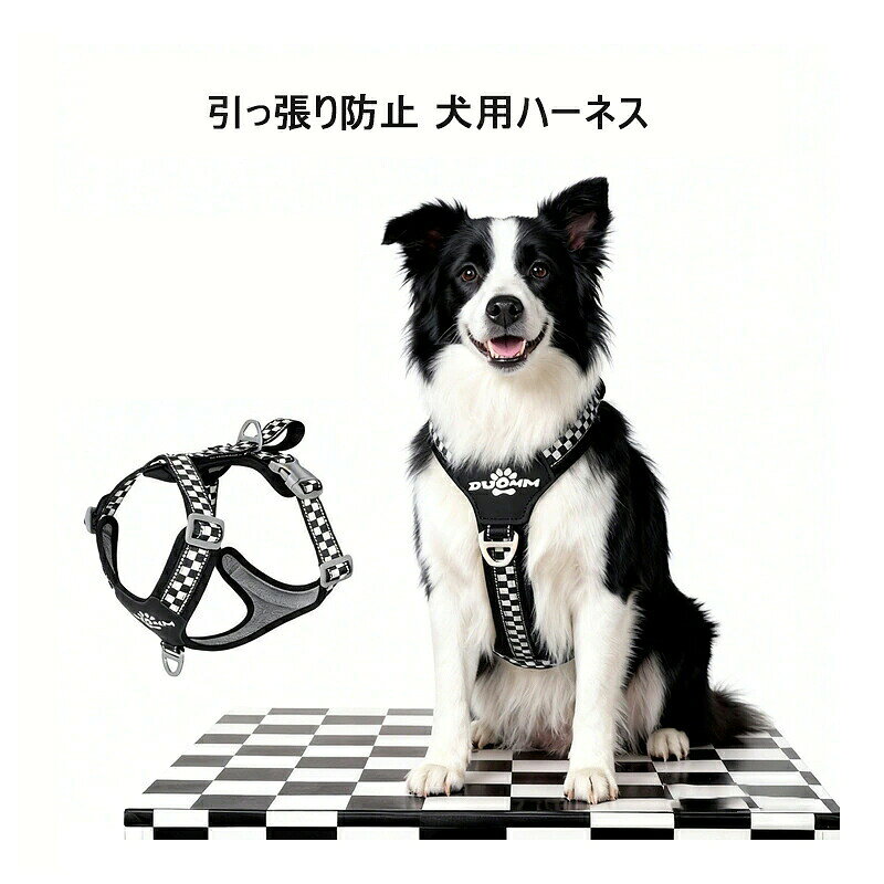 saw00172.jpg