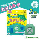 ビッグバイオ さらばカメムシッ 2個セット 屋外用 かめむし忌避剤 カメムシ 忌避剤 忌避 かめむし いやよ 対策 ブロック 予防 よけ 害虫対策 亀虫