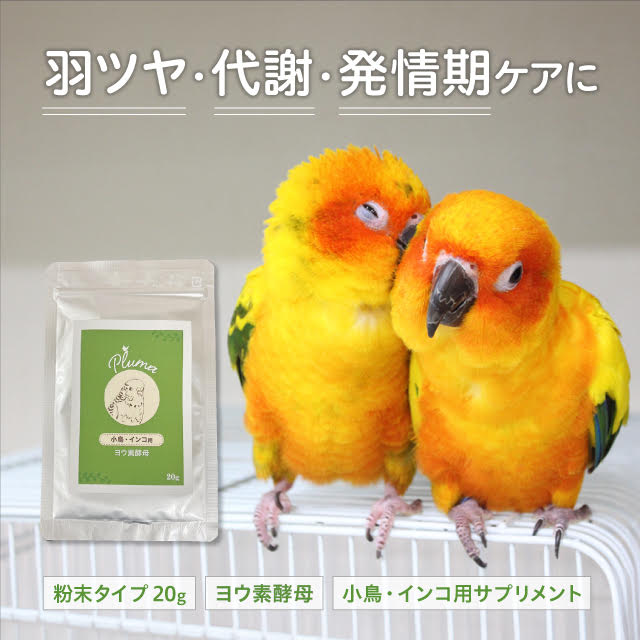 小鳥 インコ 用 ヨウ素酵母 20g 国産 ヨード補給 甲状腺・換羽期の健康維持に アミノ酸 ビタミン ミネラル 補助食 パウダー 無添加 くらし安心Labo