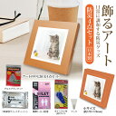 送料無料(一部地域除く) 非常用防災セット【BR-ATT300 飾るアート 防災4点セット+アートポスター(ネコ)1枚】非常時に必要な防災セットをアートに! 170x170mm 壁掛け/スタンド 2WAY 非常用トイレ 簡易トイレ オフィス 居間 トイレ 防災備蓄 帰宅支援 10年保存(3)