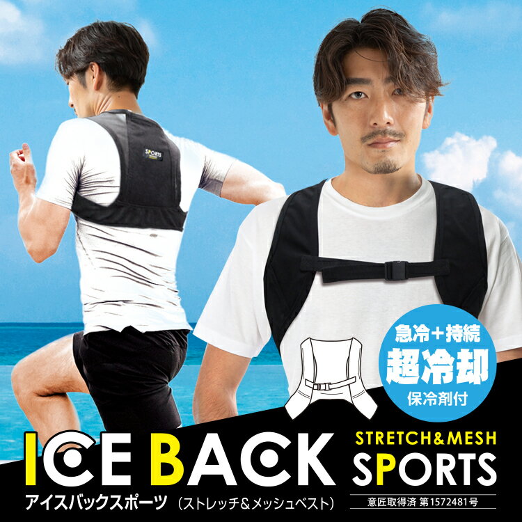送料無料(一部地域を除く) ブレイン【BR-543 アイスバック(R) スポーツ 】伸縮メッ...