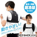 送料無料(一部地域を除く) ブレイン【BR-543 アイスバック(R) スポーツ 】伸縮メッシュ生地に胸ベルト付き 超冷却保冷剤と気化熱効果のWダブル効果 保冷...