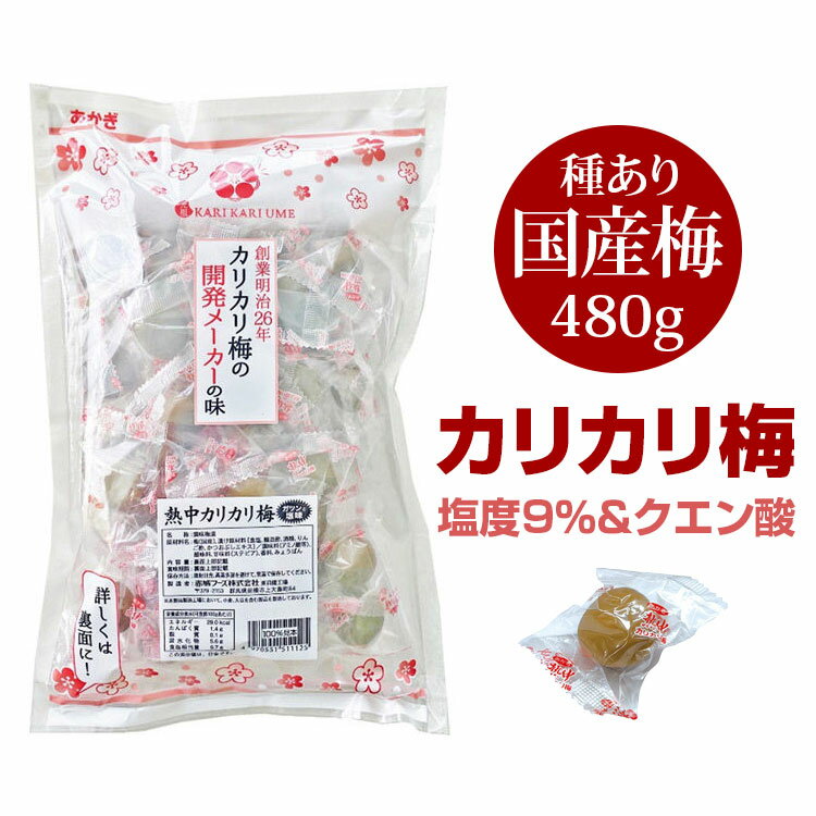 カリカリ梅 梅干し【赤城フーズ 熱中カリカリ梅 (種あり) 約480g 梅(国産) 2024年製】うめ ウメ 熱中症対策 塩分補給 塩使用