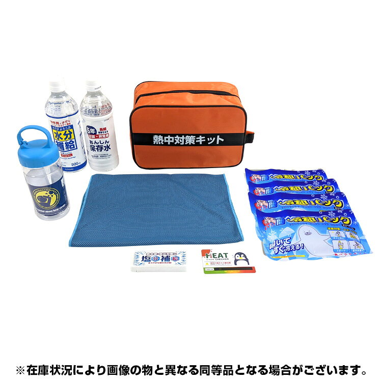 送料無料(一部地域を除く) ブレイン 熱中症 セット【熱中症
