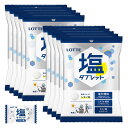 2025年製「ロッテ 業務用 塩タブレット(レモン) 小袋 48g×10袋セット」