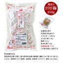 カリカリ梅 梅干し【赤城フーズ 熱中カリカリ梅 (種あり) 約450g 梅 2025年製】うめ ウメ 熱中症対策 塩分補給 塩使用
